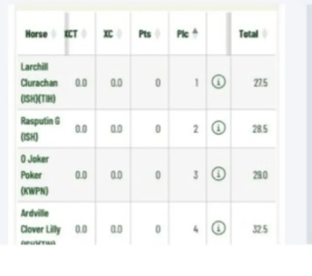 ISH / TB Mare - Image 4