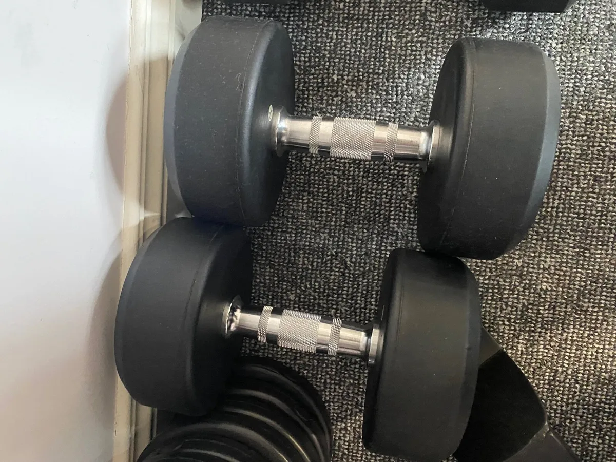 17.5kg dumbbells - Image 1