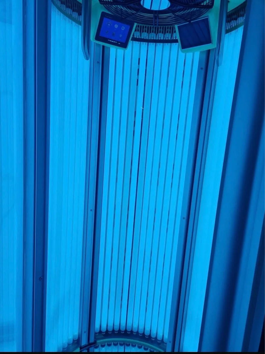 Merican flame Sunbed - Image 2