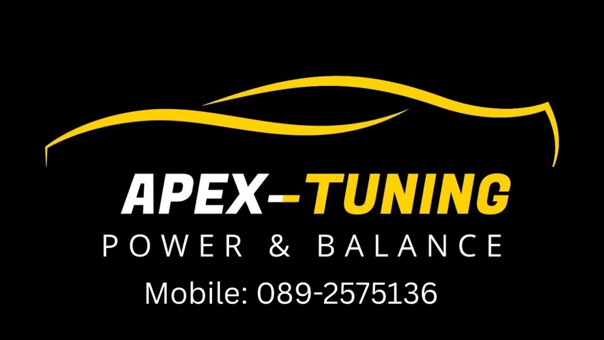 REMAP / DPF / EGR / MAF / AdBLUE - Image 1