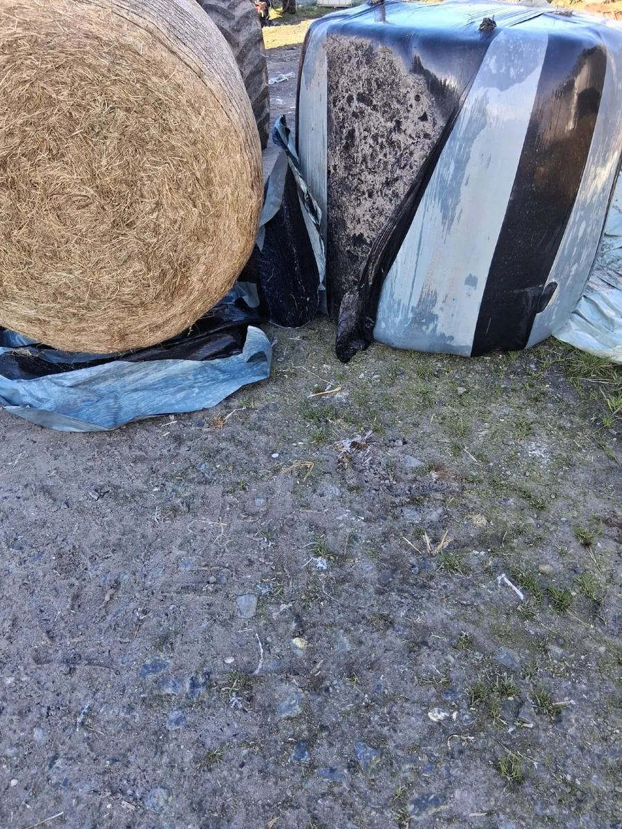 Haylage and Silage - Image 1