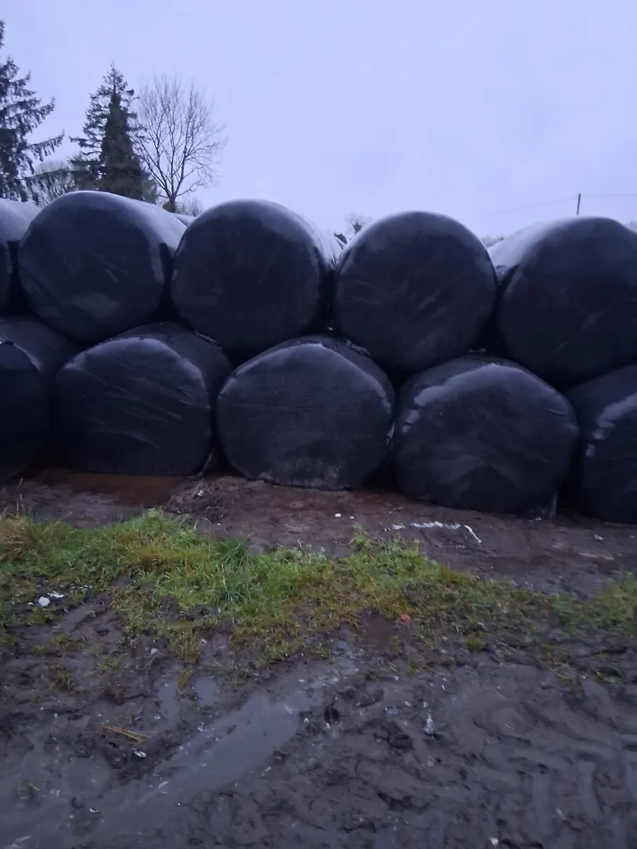 Haylage and Silage - Image 2