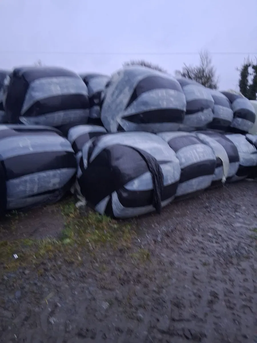 Haylage and Silage - Image 3