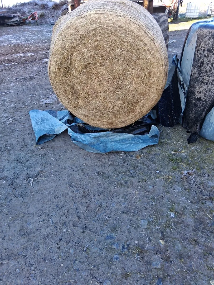 Haylage and Silage - Image 4