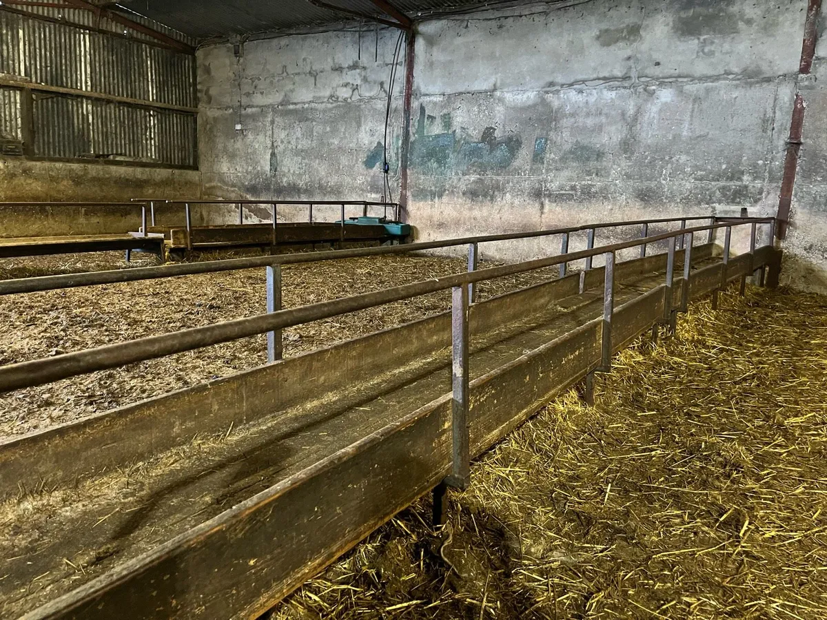 Sheep Walk Through Troughs - Image 4