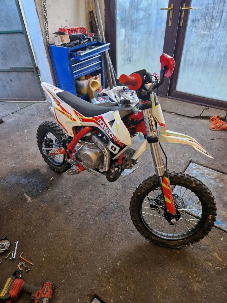 Bike for sale - Image 1