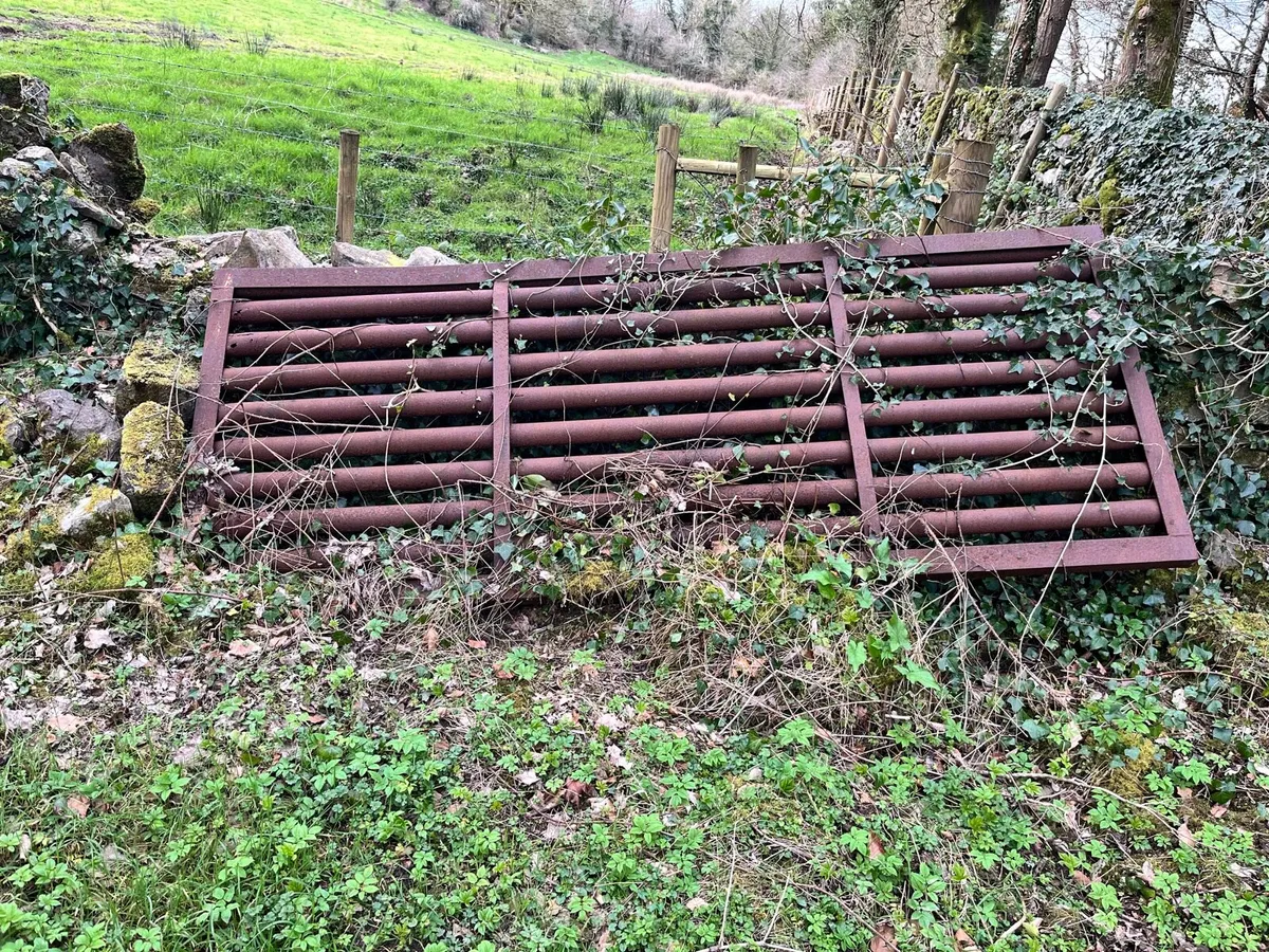 Cattle grid - Image 1