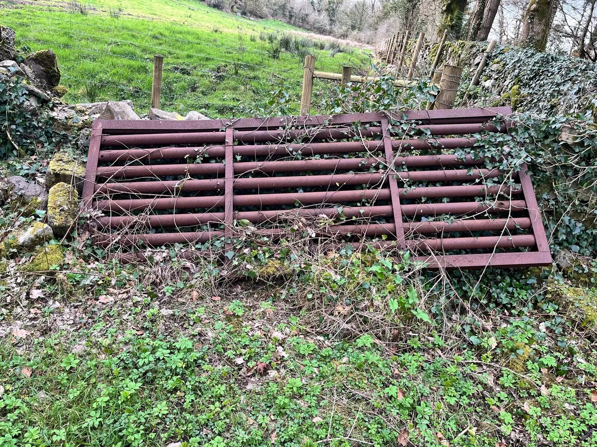 Cattle grid - Image 2