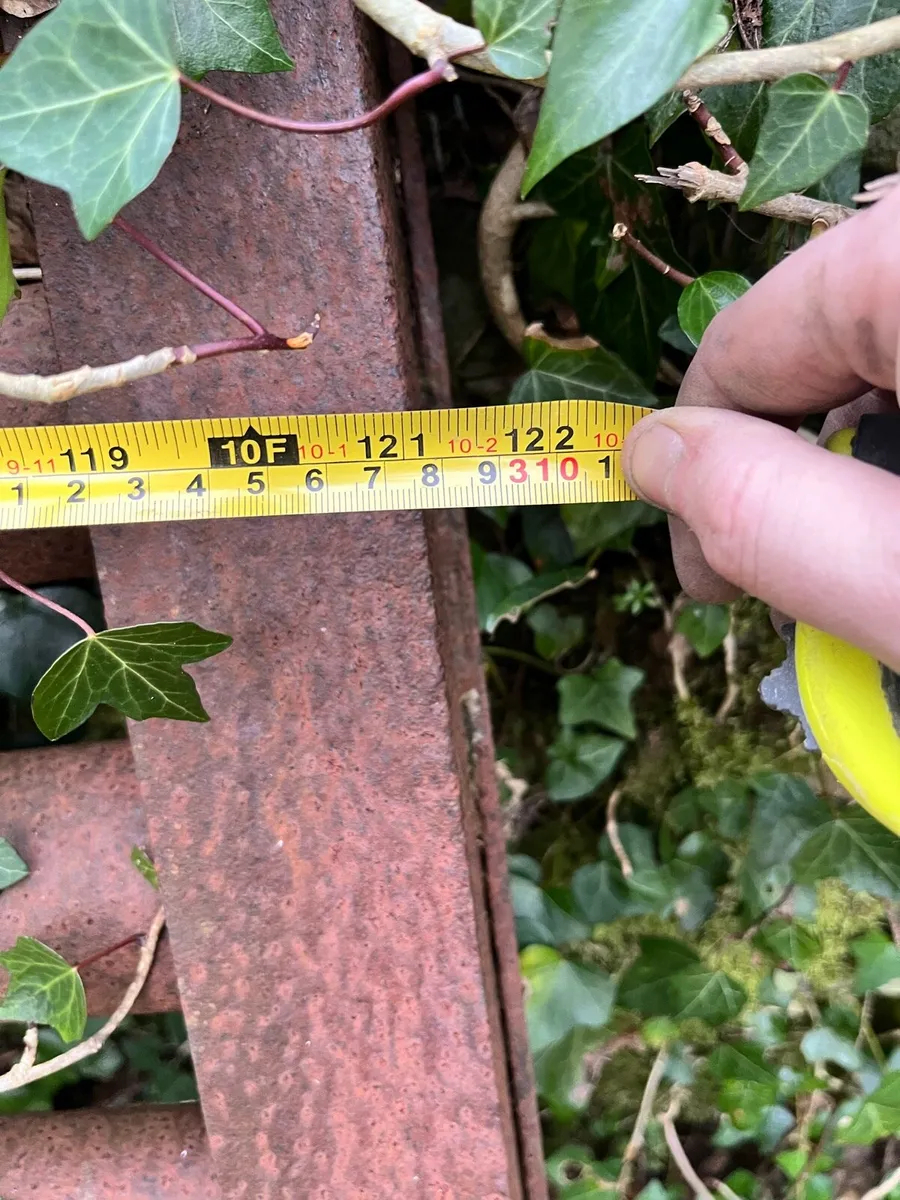 Cattle grid - Image 4