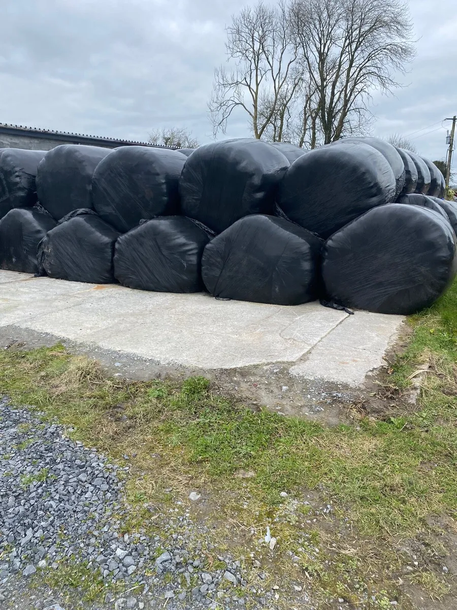 Silage Bales