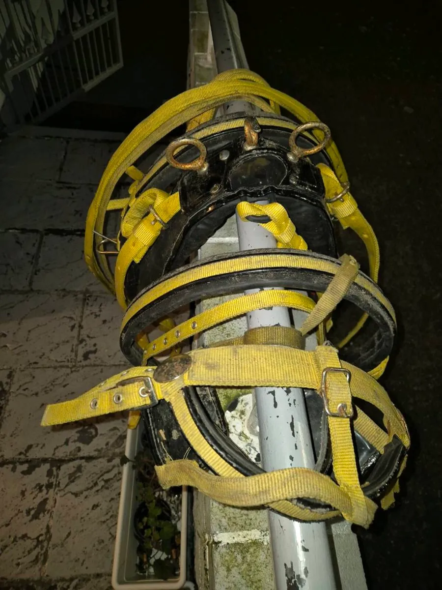 Harness and hobbles - Image 1