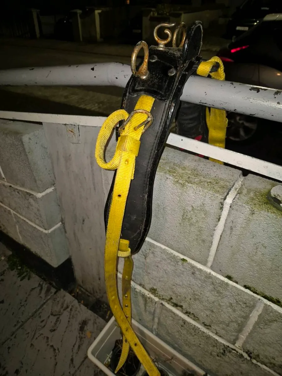 Harness and hobbles - Image 2
