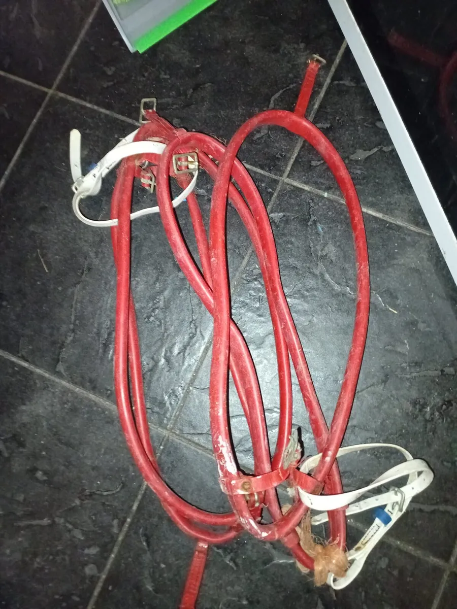 Harness and hobbles - Image 3