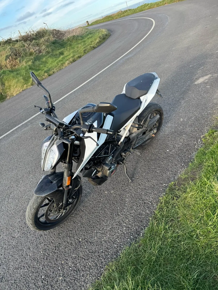 KTM duke 390 - Image 3