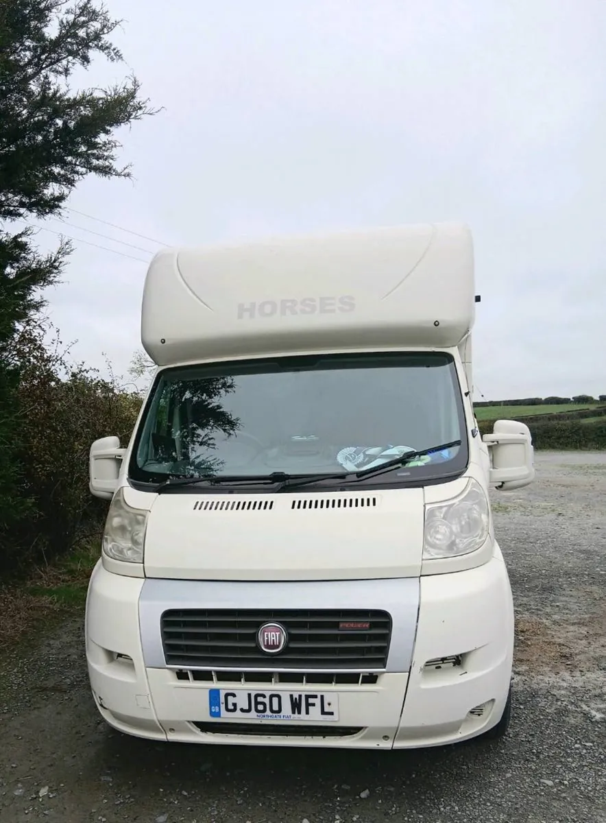 3.5t horse box - Image 2