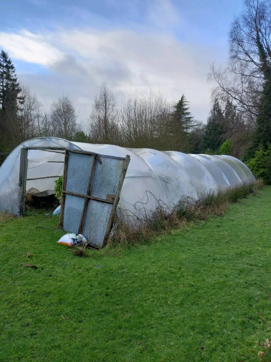 Polytunnels - Image 4