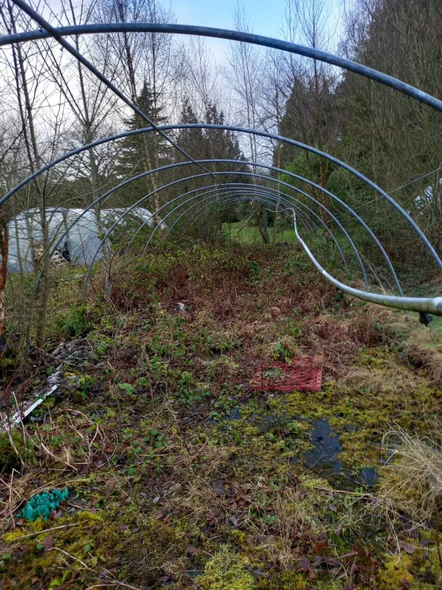 Polytunnels - Image 1