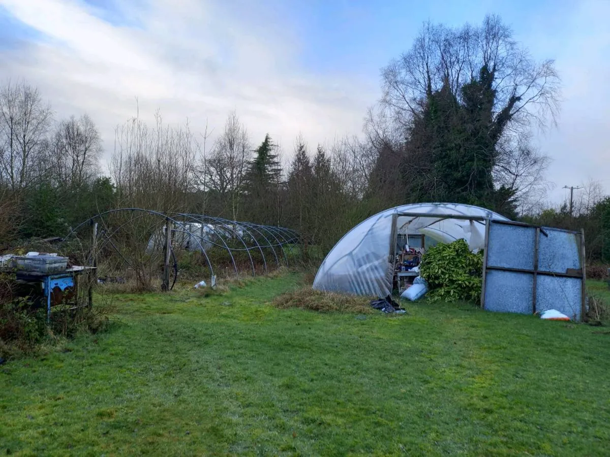 Polytunnels - Image 3
