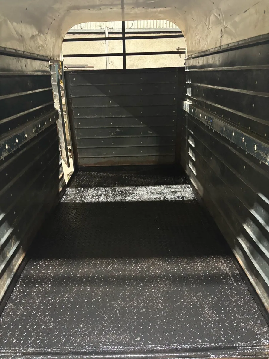 Dooley cattle box - Image 3