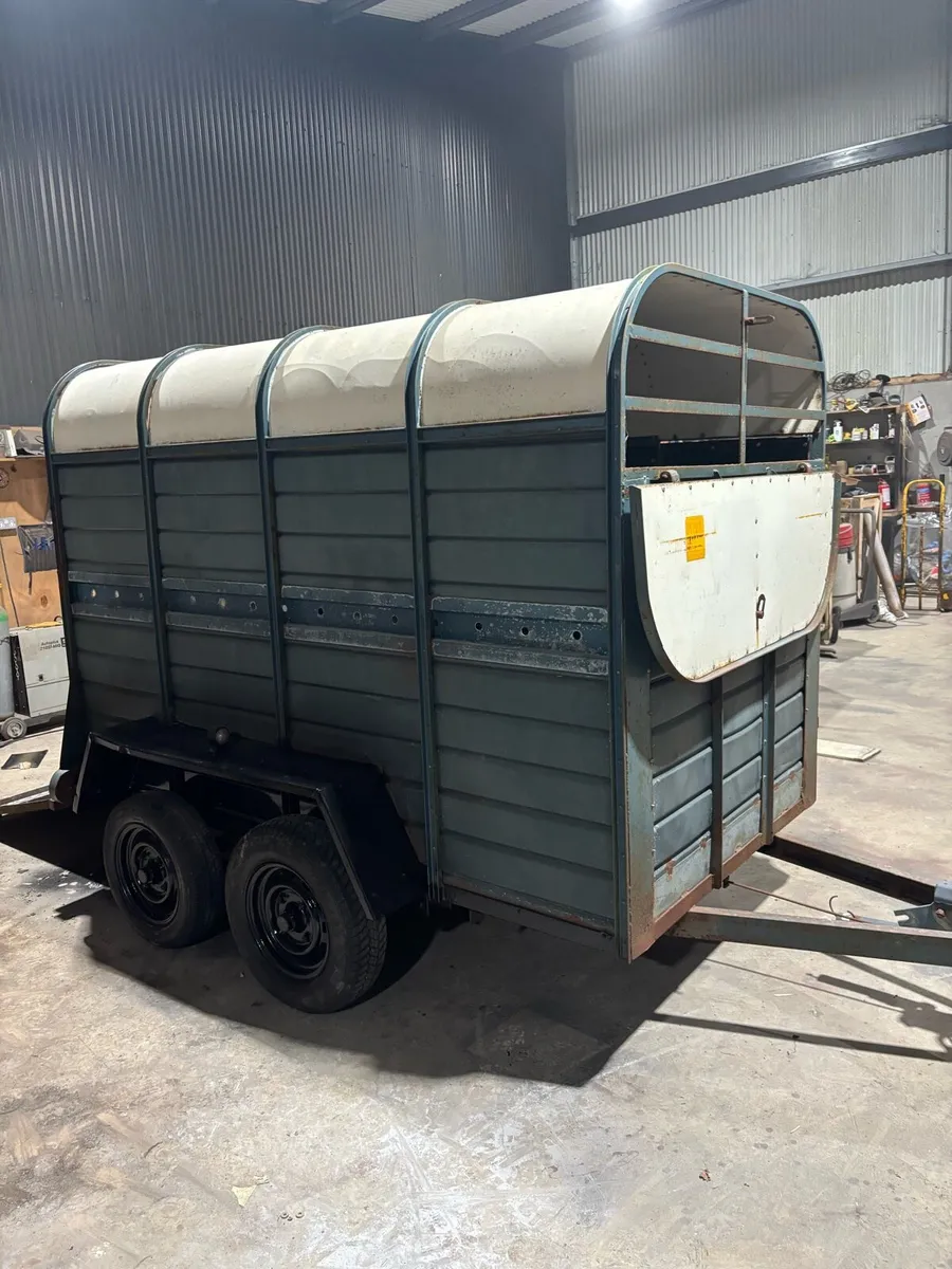 Dooley cattle box - Image 1