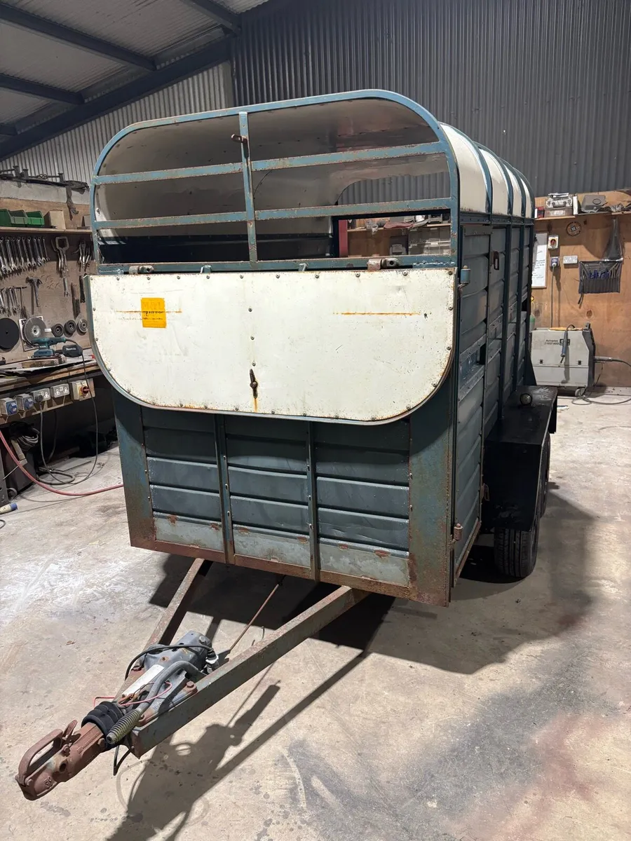 Dooley cattle box - Image 2