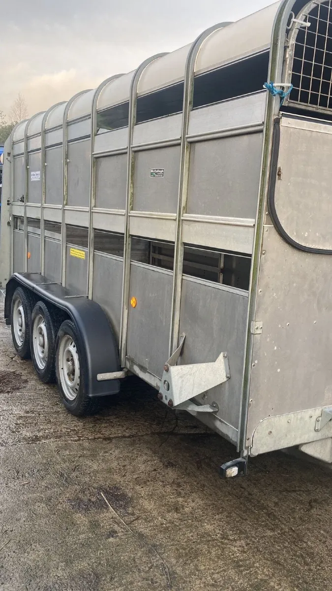 Cattle Trailer - Image 3