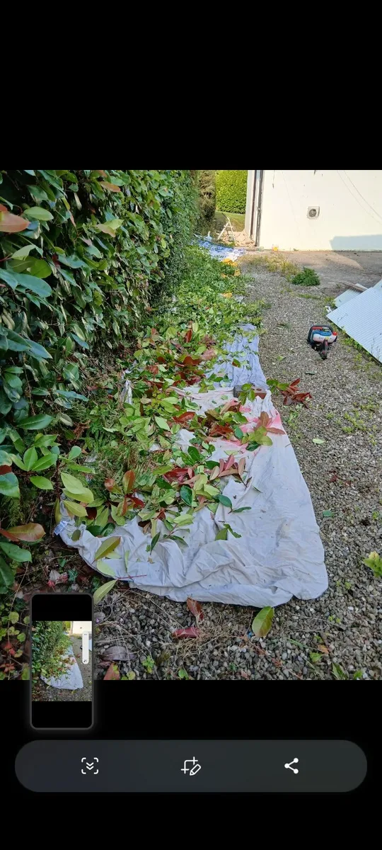 rubbish removals /all rubbish unwanted items - Image 4