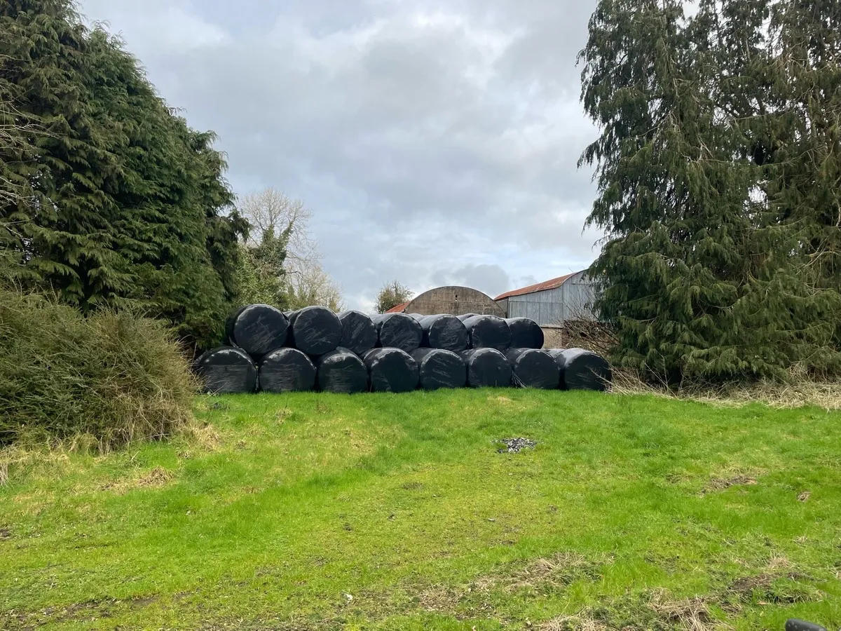 Bales of Silage