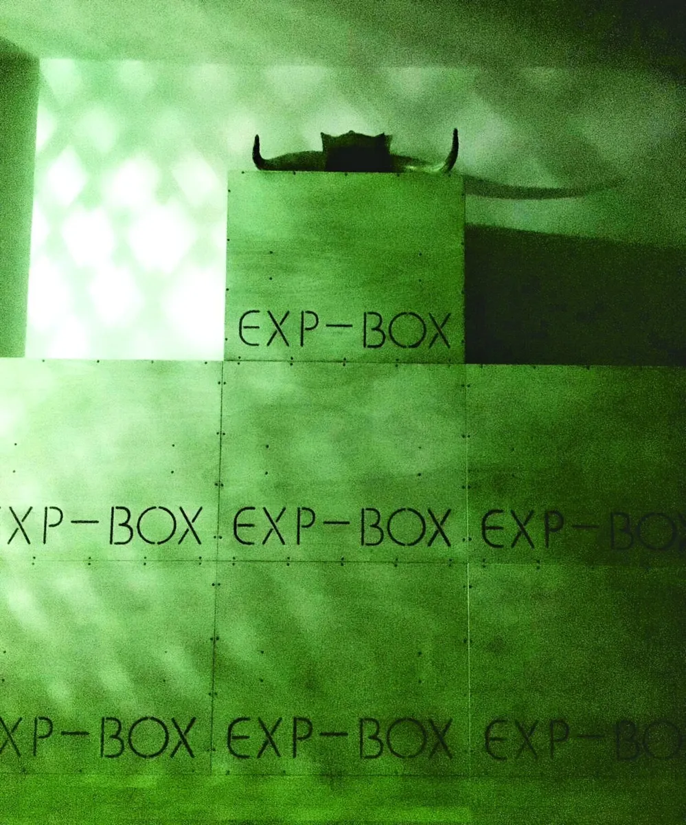 Plyometric Exercise Boxes - Image 1