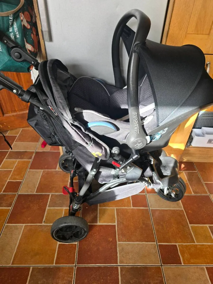 Out and about lLittle Nipper - Image 4