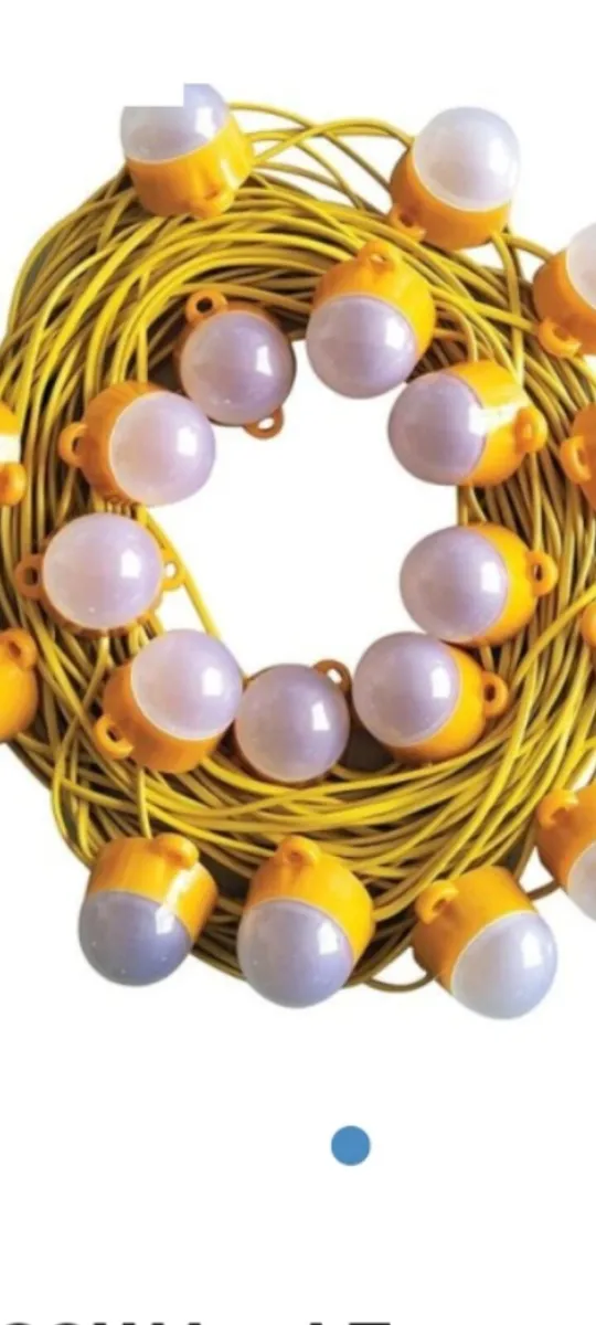 110 volt led festoon lighting - Image 1