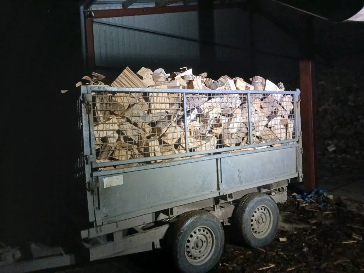 Firewood - Image 2