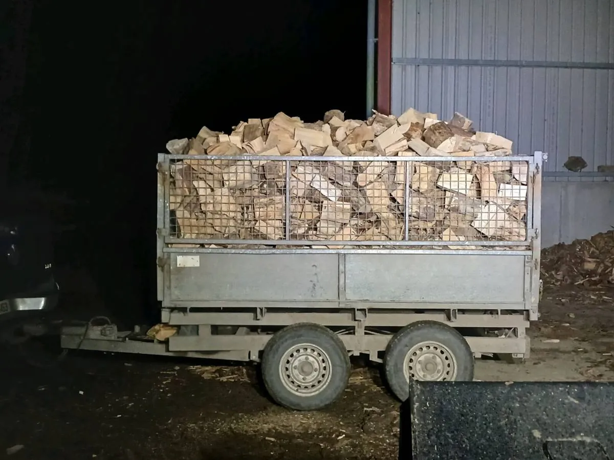 Firewood - Image 4