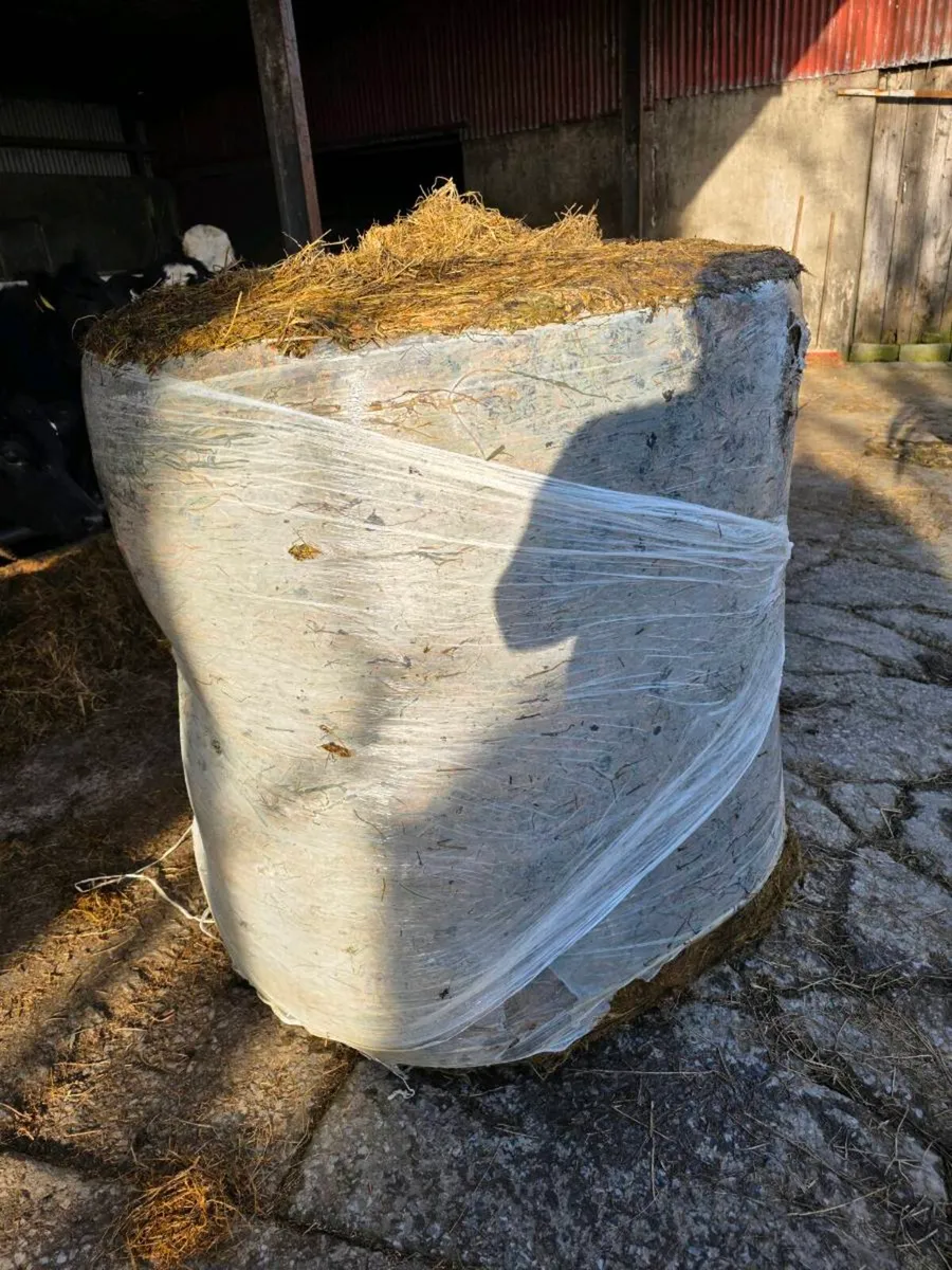 Round Bales sillage - Image 1