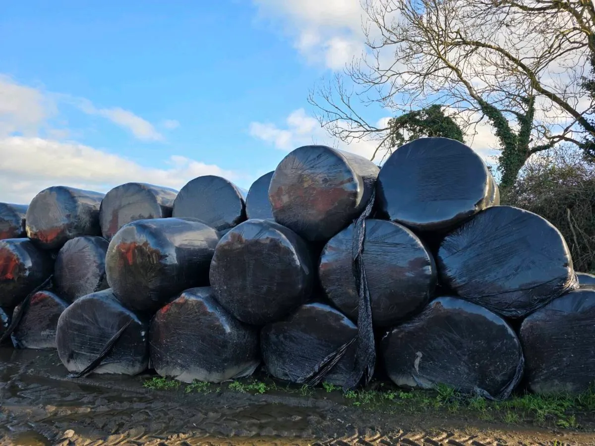 Round Bales sillage - Image 2