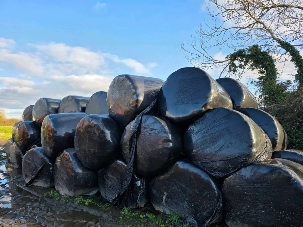 Round Bales sillage - Image 3