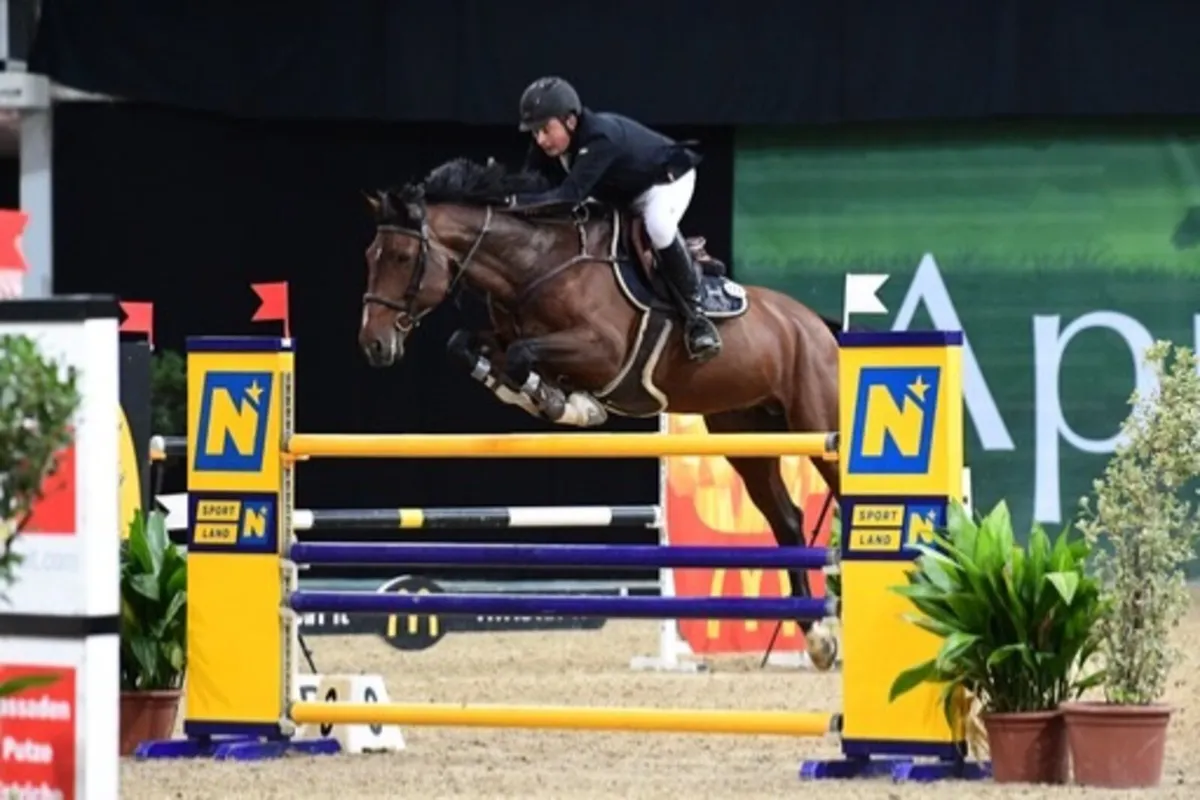 Stallions at stud 2026 - Image 3