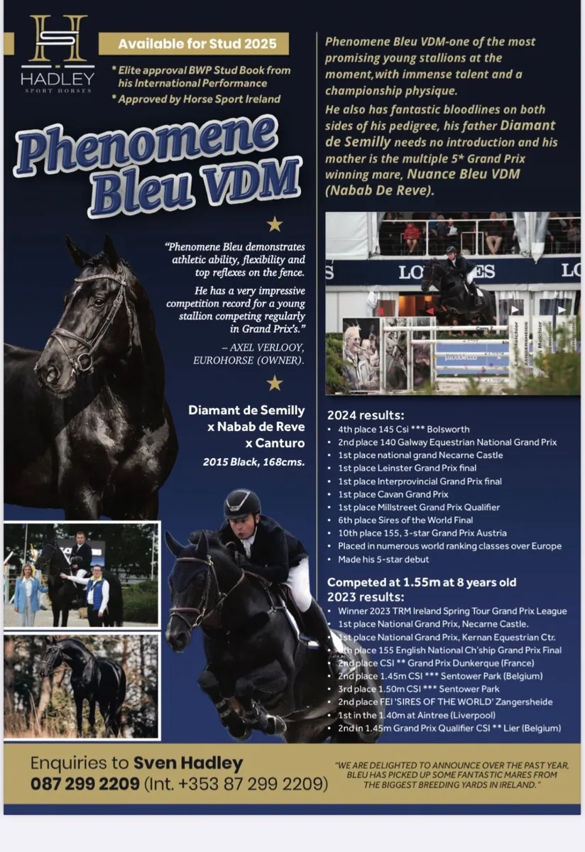 Stallions at stud 2026 - Image 4