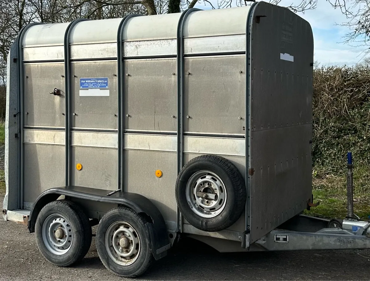 8 x 5 Ifor Williams Cattle Trailer - Image 2