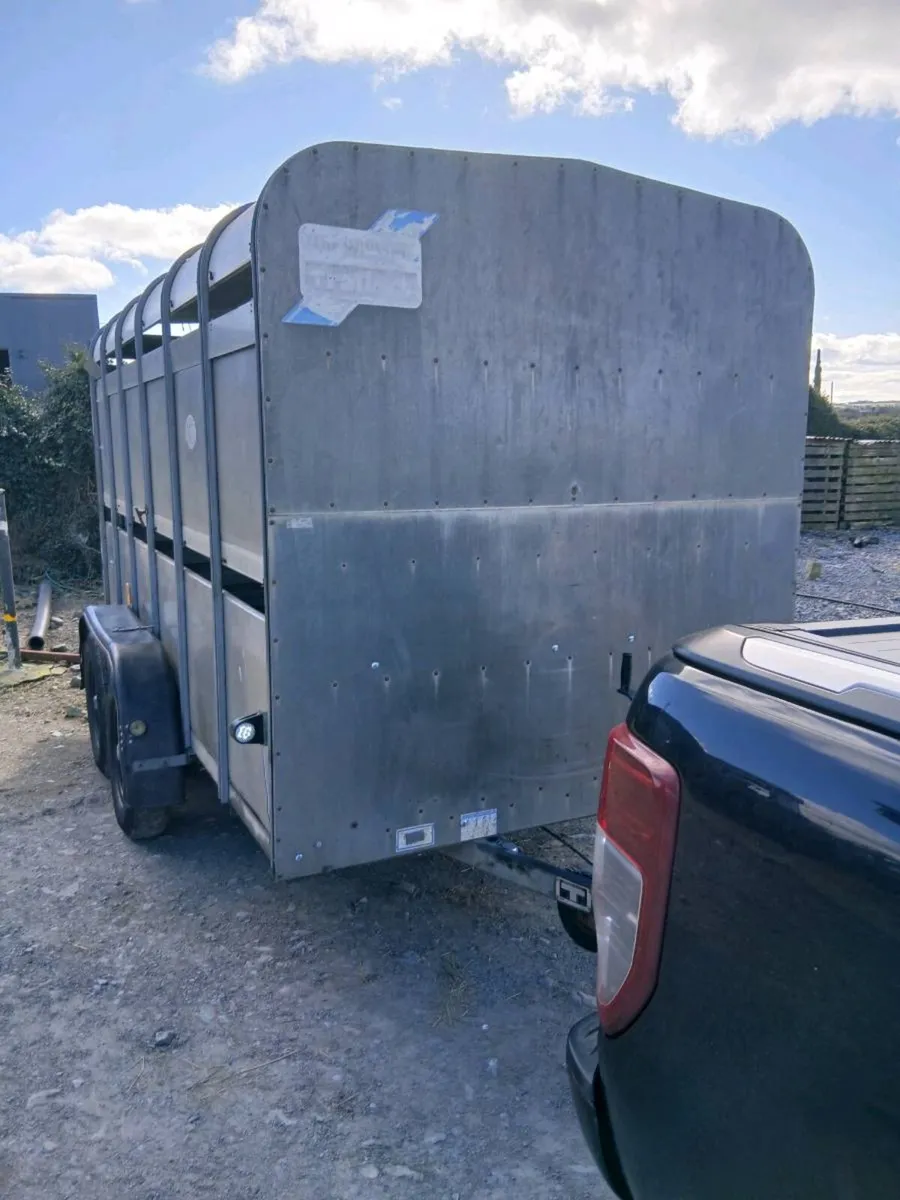 Iforwilliams 12by6cattletrailer cal 0868782672 - Image 1