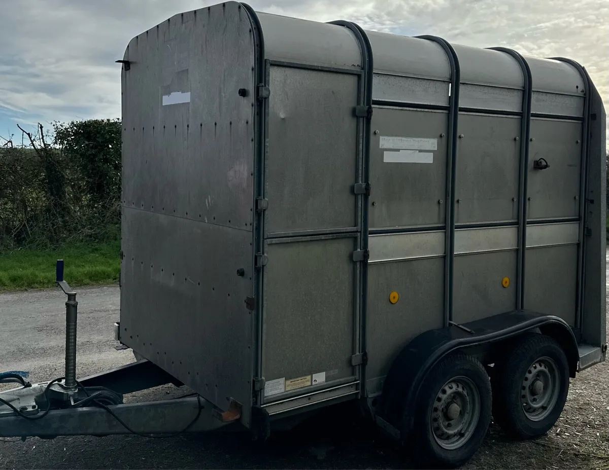 8 x 5 Ifor Williams Cattle Trailer - Image 1
