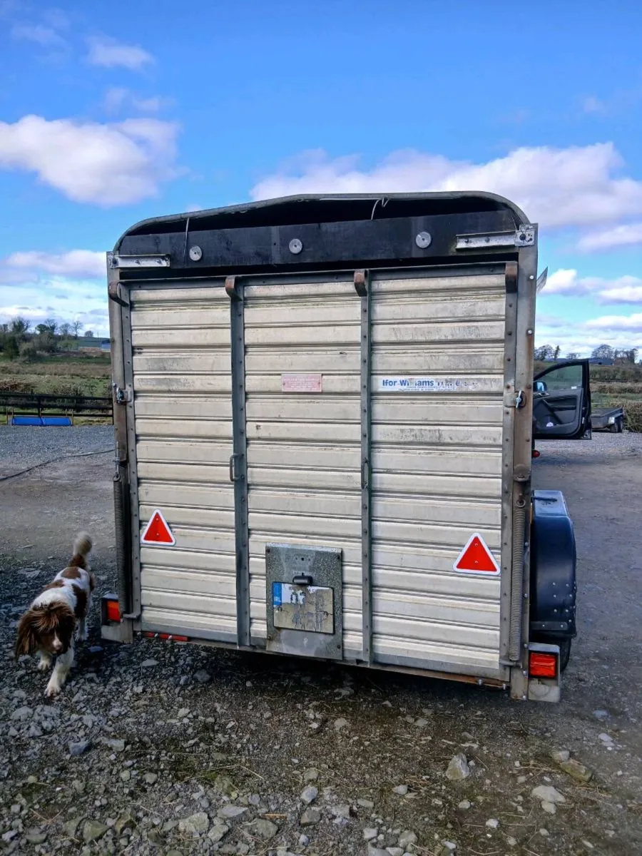 Iforwilliams 12by6cattletrailer cal 0868782672 - Image 3