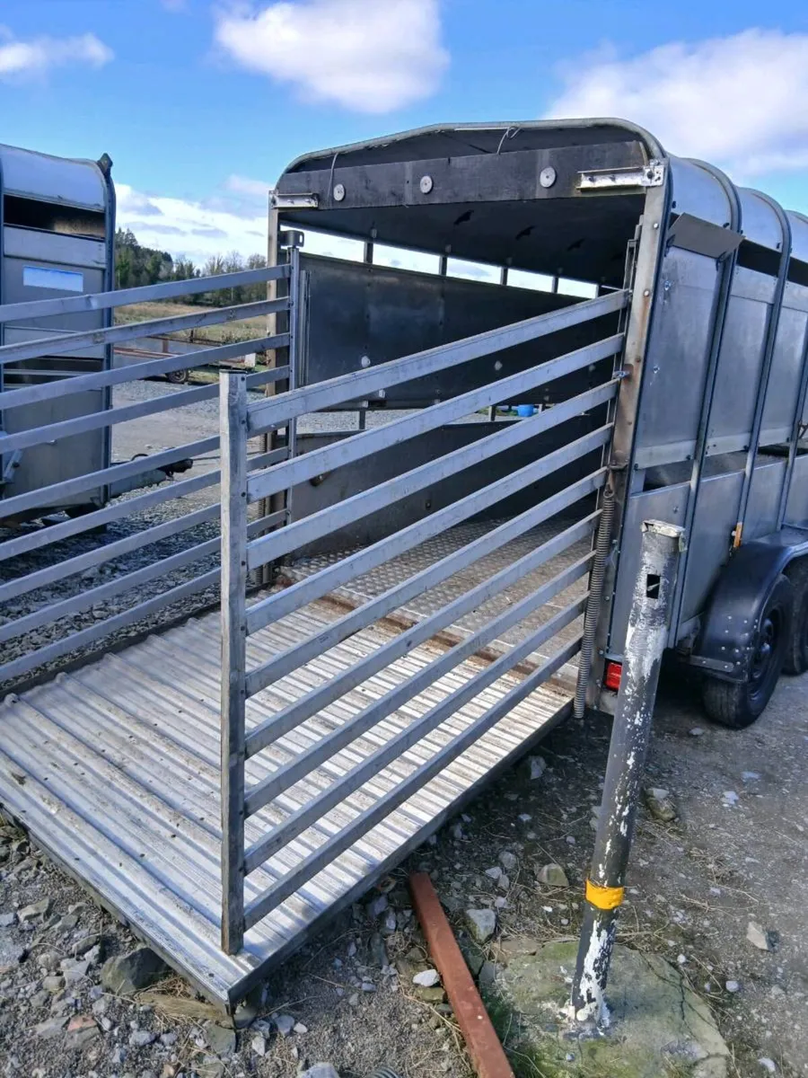Iforwilliams 12by6cattletrailer cal 0868782672 - Image 4
