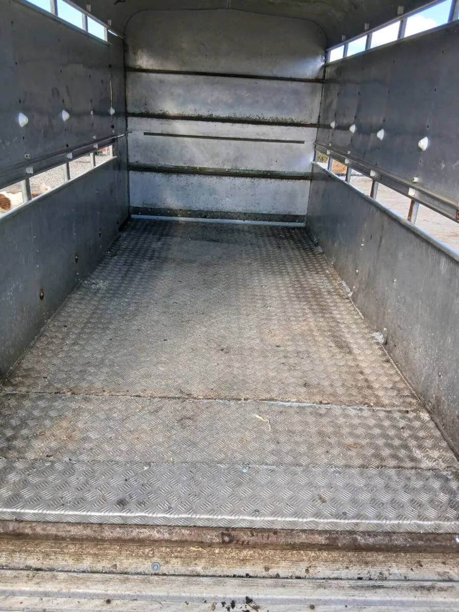 Iforwilliams 12by6cattletrailer cal 0868782672 - Image 2