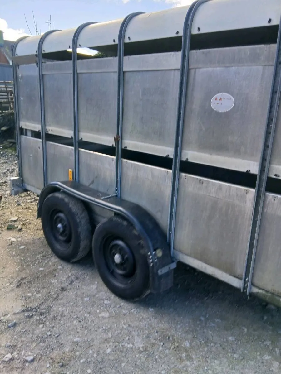 Iforwilams gone gone similar required l 0868782672 - Image 4