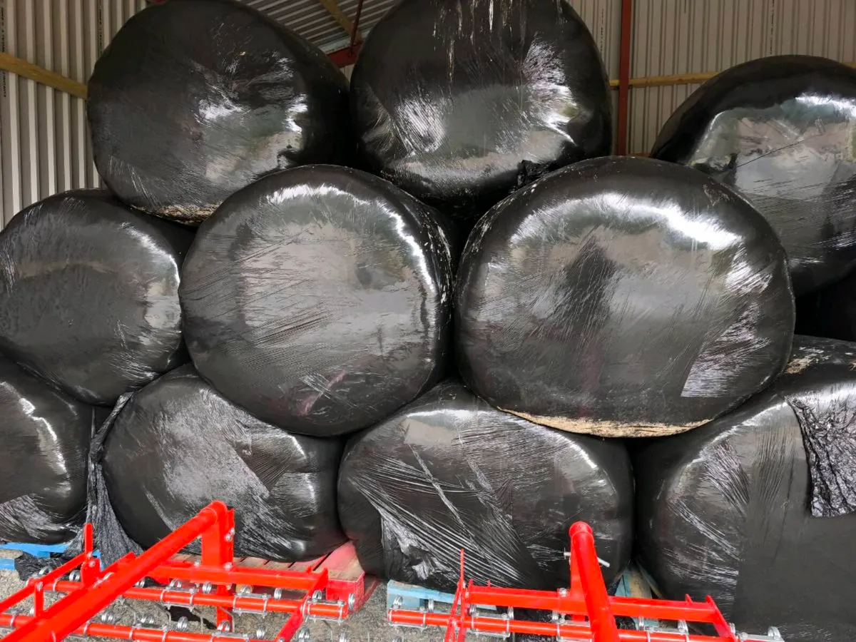 Haylage - Suitable for Horses - Image 1