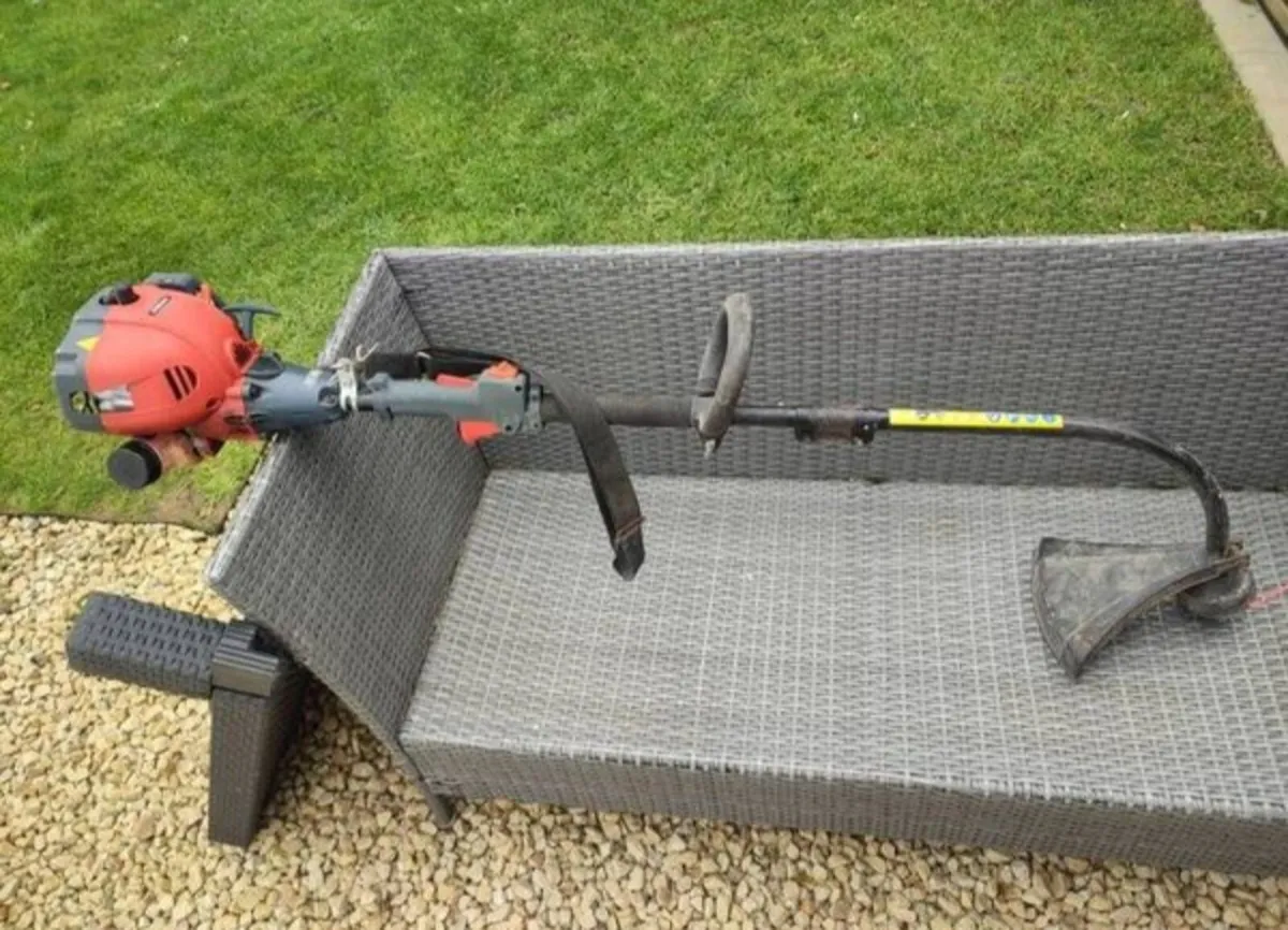 Petrol grass trimmer - Image 1