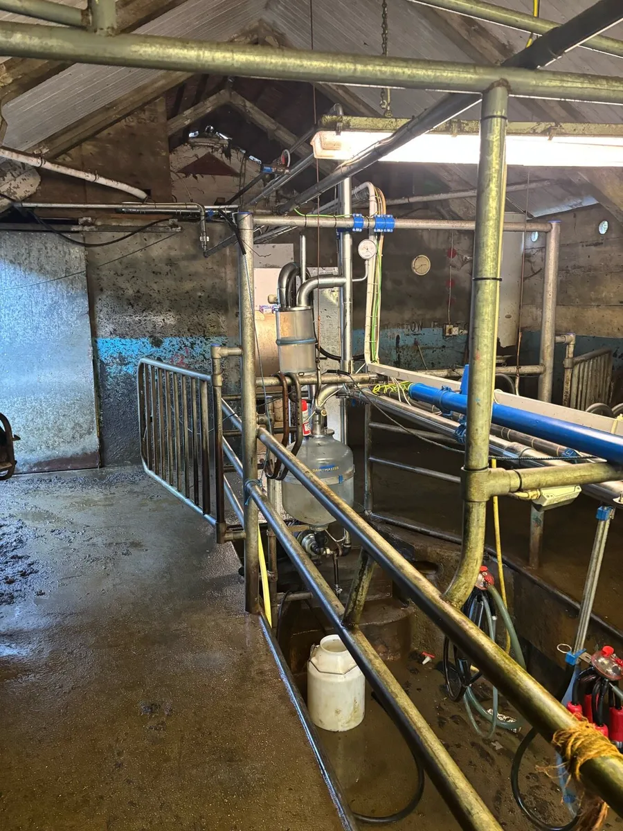 Milking parlour - Image 4