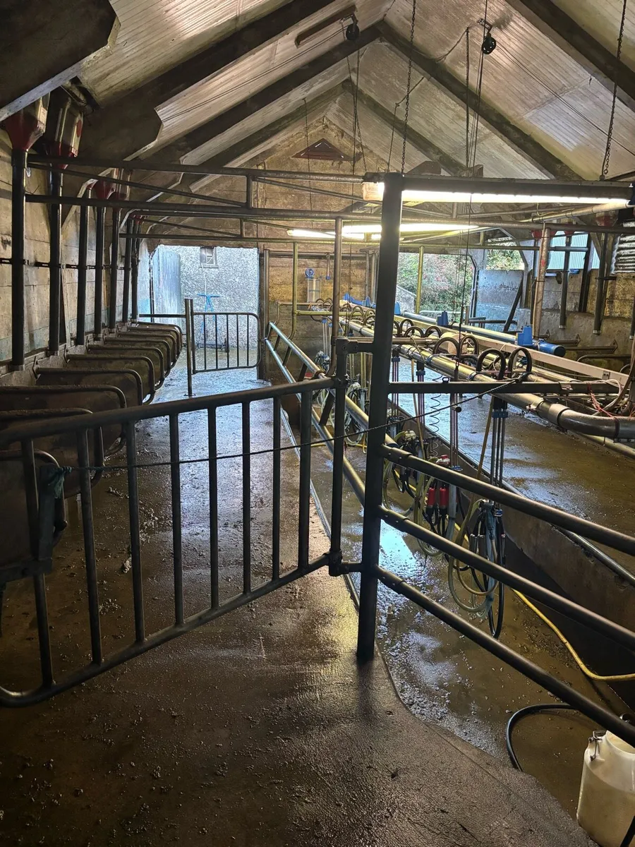 Milking parlour - Image 1