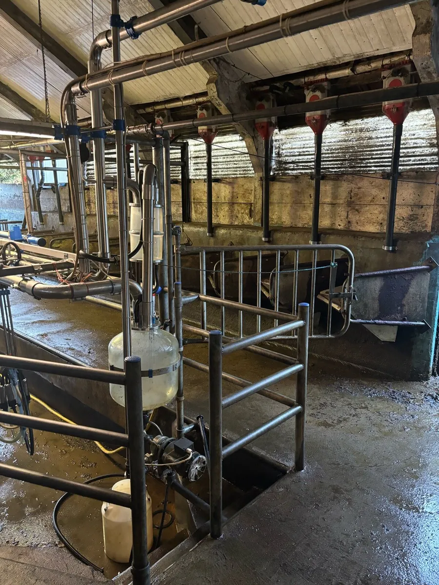Milking parlour - Image 2